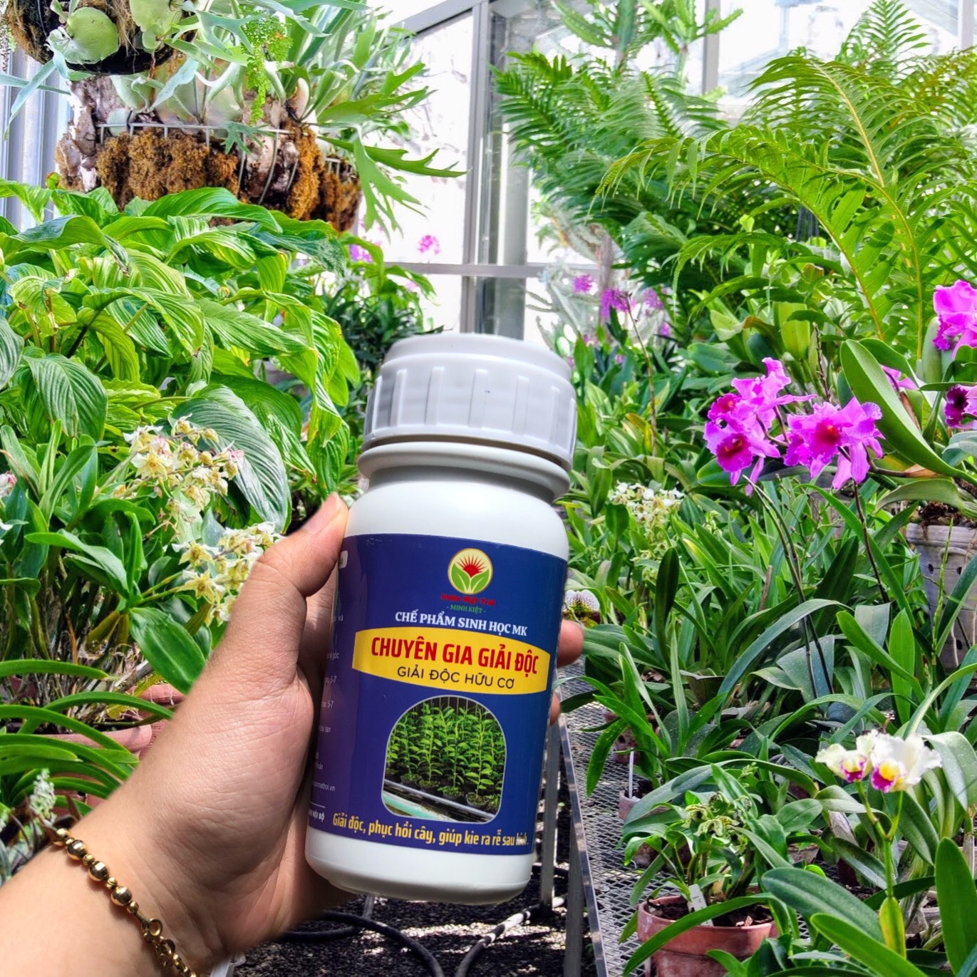 Chế Phẩm Sinh Học CHUYÊN GIA GIẢI ĐỘC Giải Độc Hữu Cơ-250ml