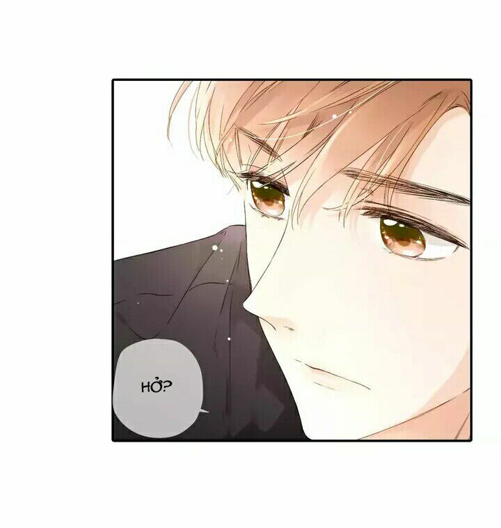 Tình yêu là màu hoa anh thảo chapter 24.2 29