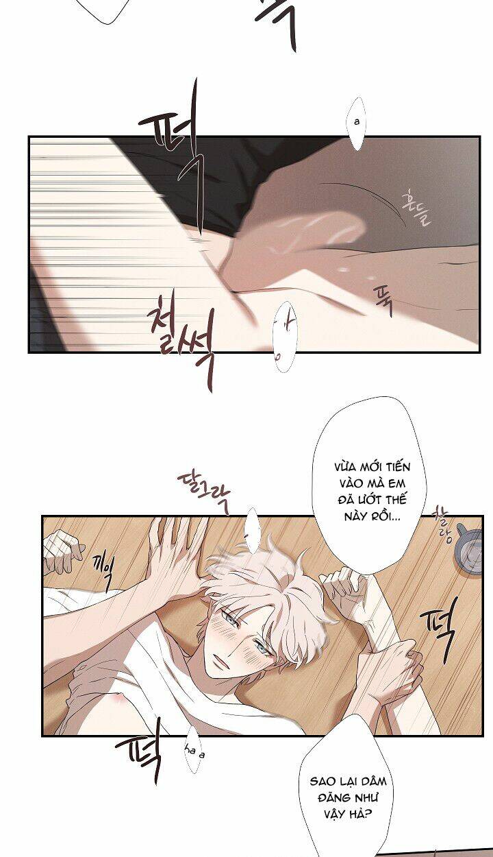 trốn tìm chapter 27 28