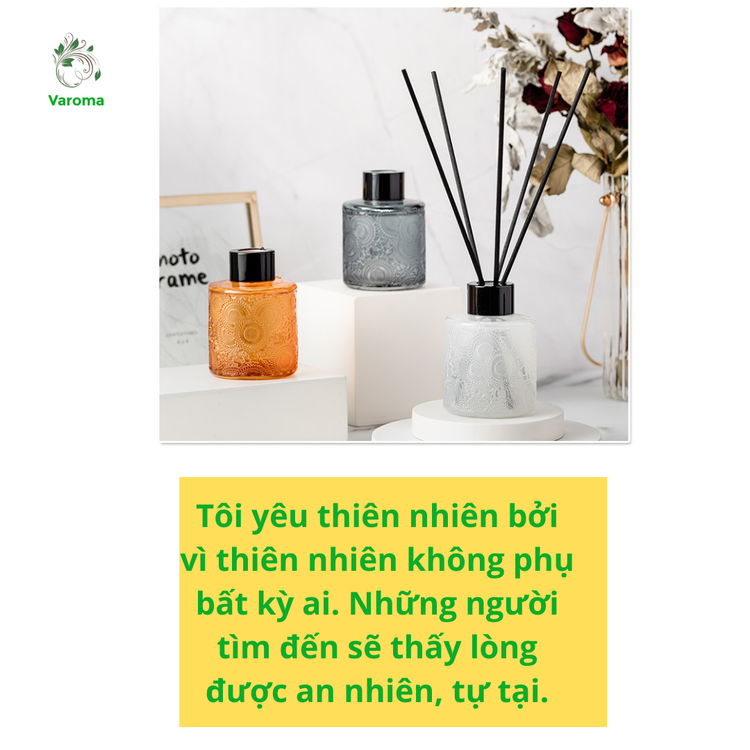 Tinh Dầu Thơm Thiên Nhiên Bản Sang Trọng Để Phòng Que Gỗ Lọ Khuếch Tán Thanh Lọc Khử Mùi Không Khí KT31