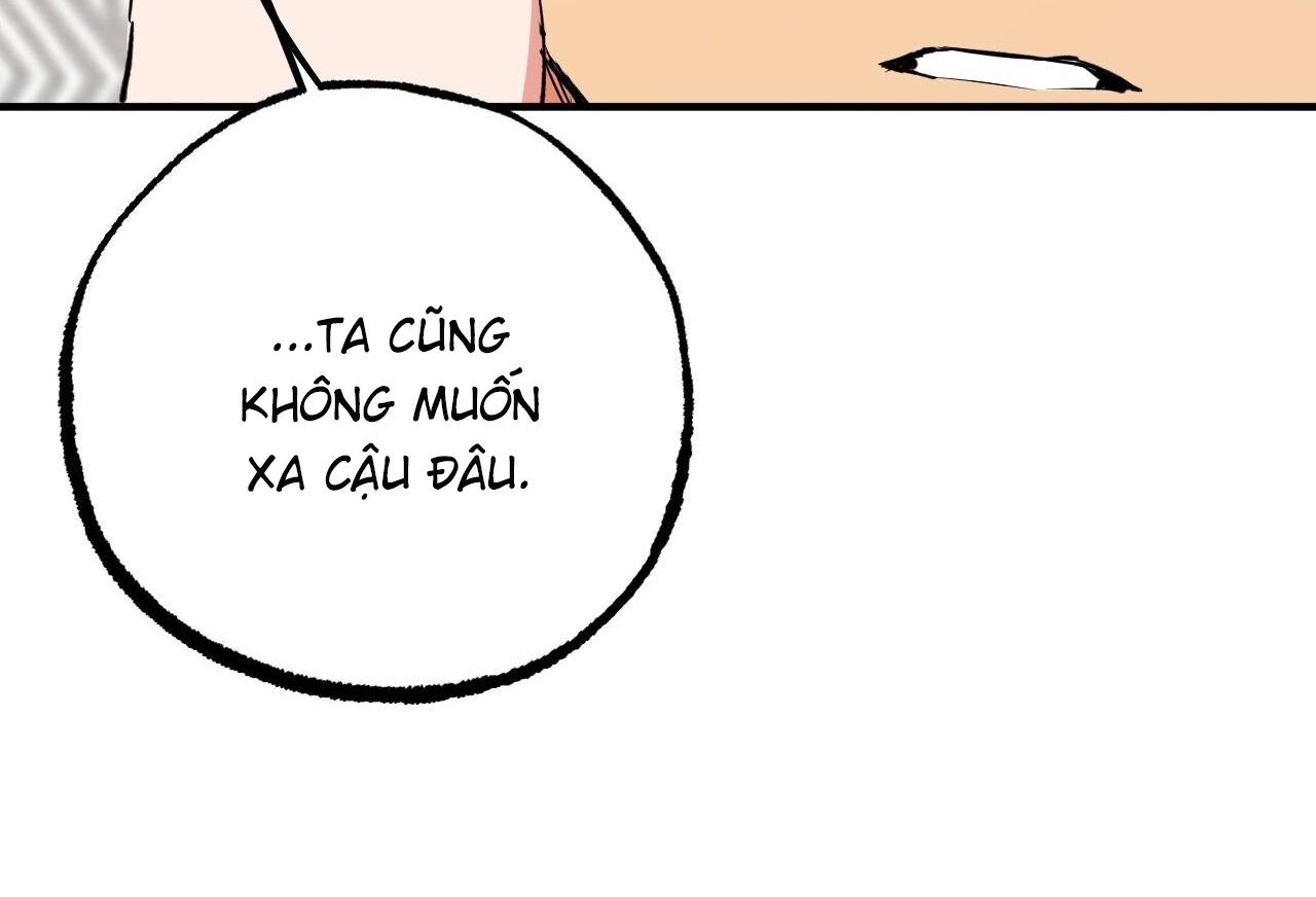 những chú thỏ của hapypy chapter 61 76