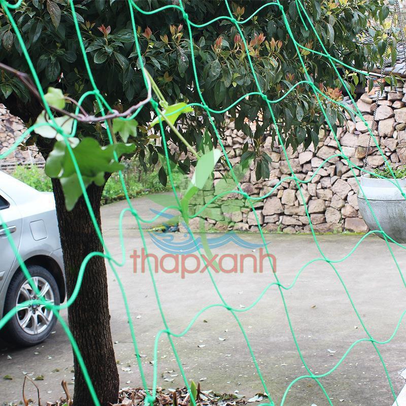 Lưới làm giàn dây leo , lưới làm giàn cây Ollie net