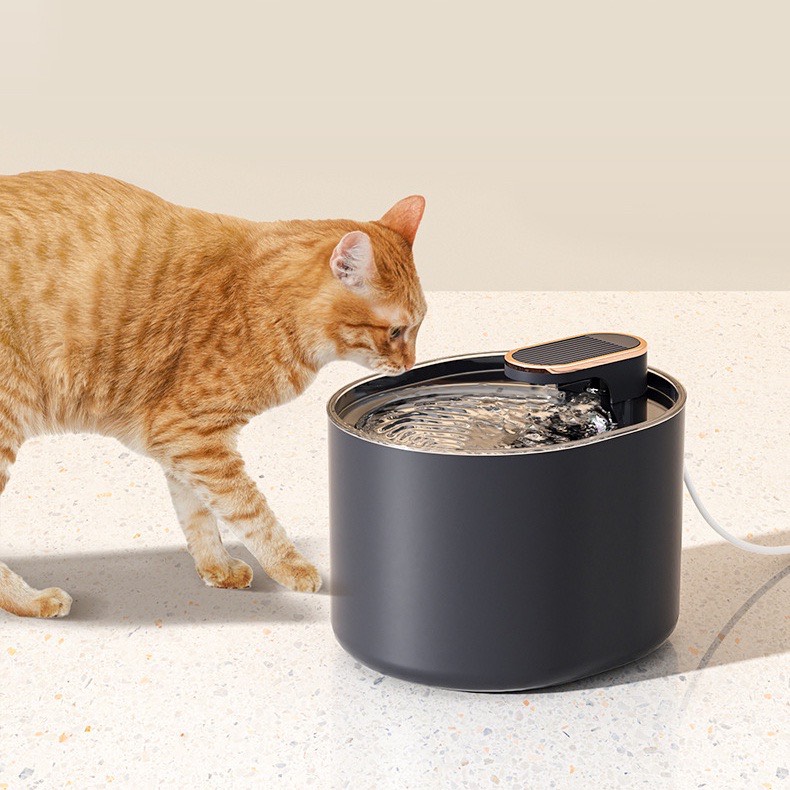 Máy lọc nước cho mèo uống tự động Pet Water Dispenser dung tích 3L