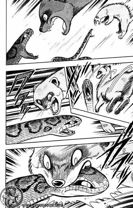 hoàng phi hồng phần 1 chapter 9 26