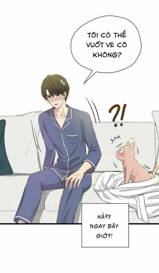 một cuộc sống kỳ lạ chapter 2 52