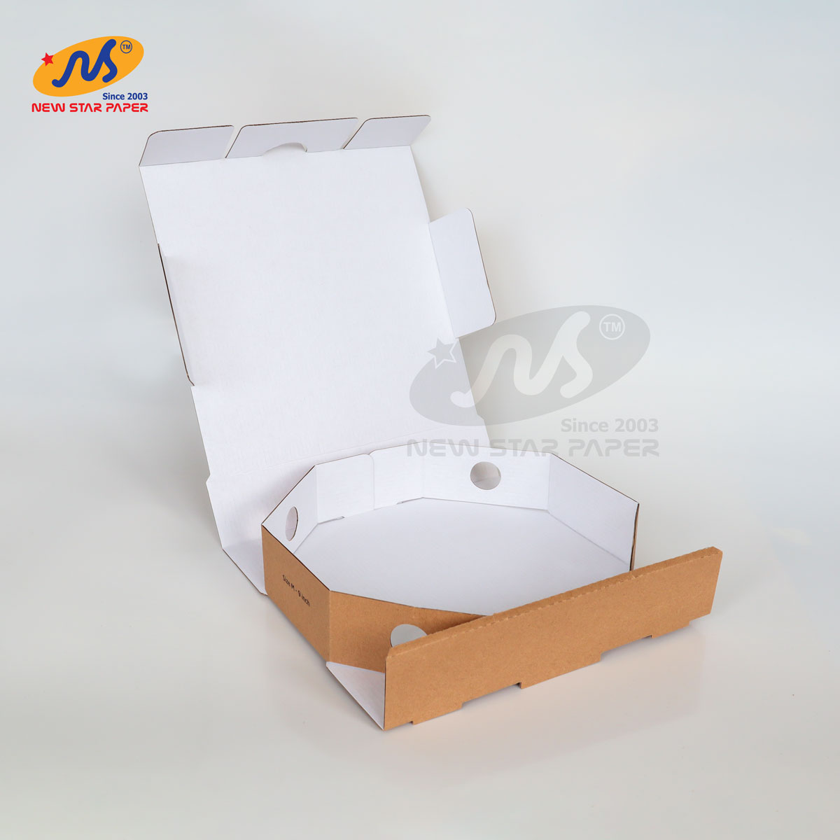 Size M - 25x25x5cm - Combo 10 hộp giấy pizza