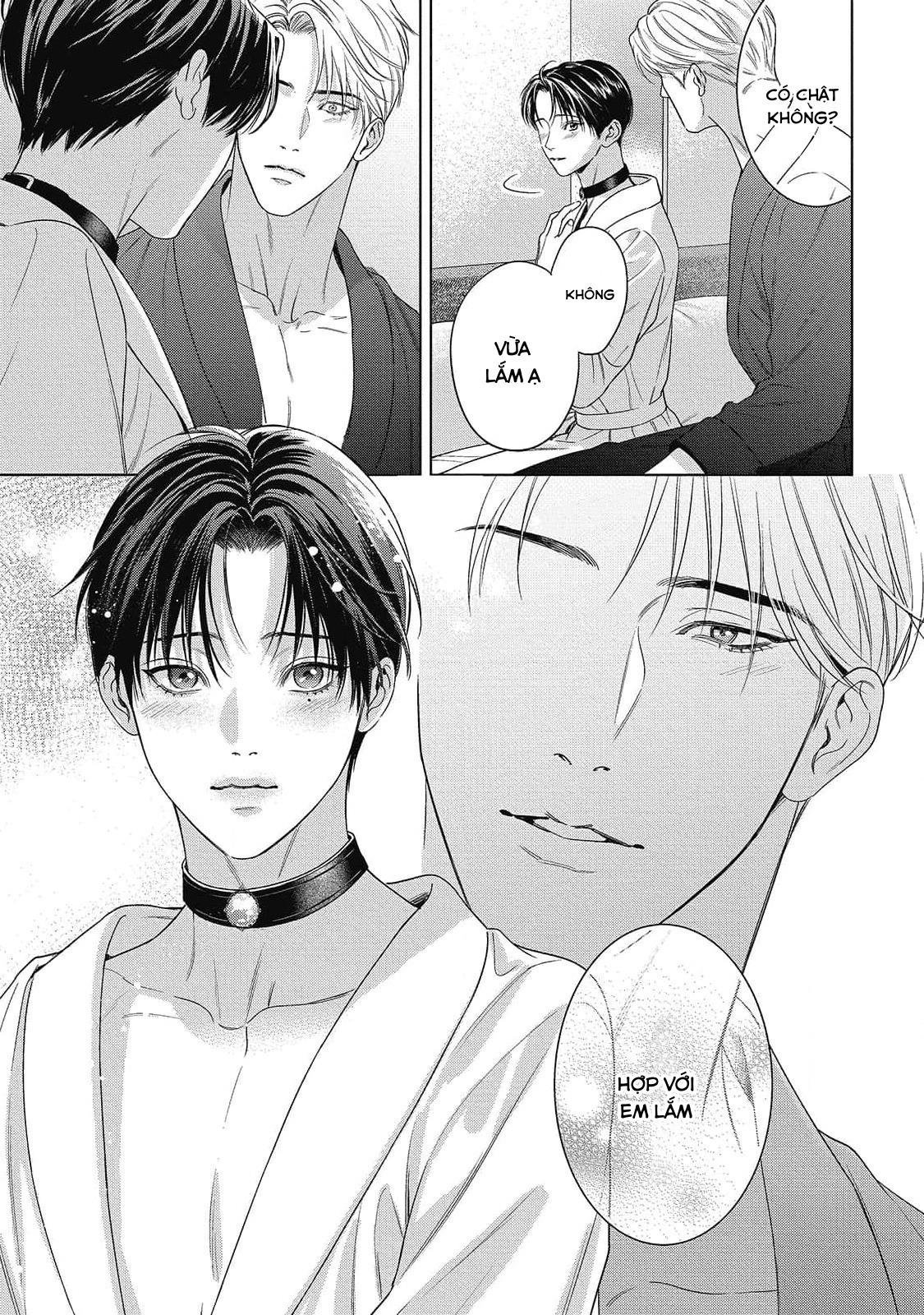 cô dâu của alpha chapter 30 39