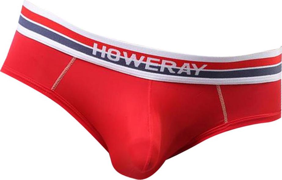 Sexy Men Low Rise Briefs Underwear Panties Underpants Shorts