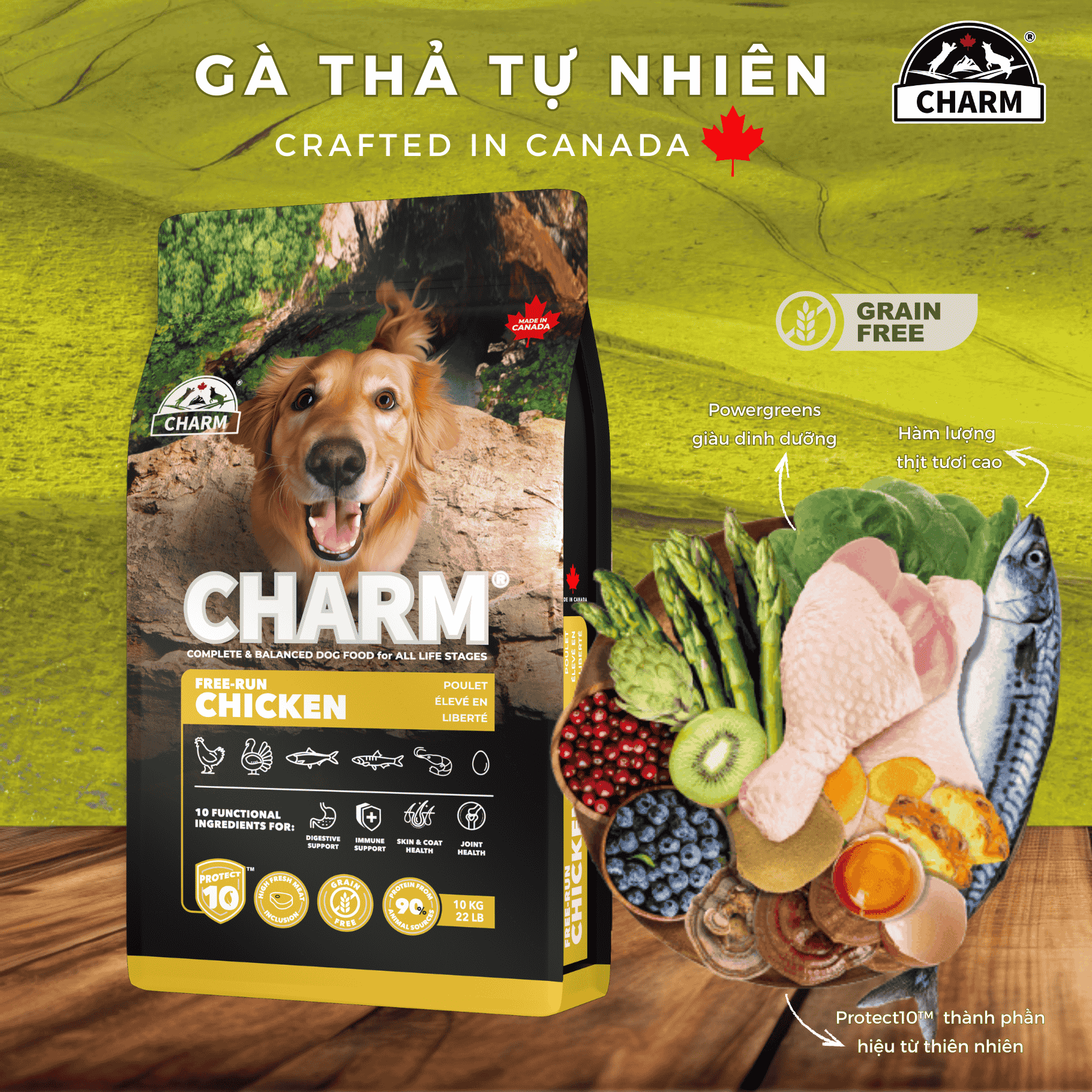 Thức Ăn Hạt Chó cao cấp Gà Cá CHARM Cage-Free Chicken Dog Food Canada- Chọn