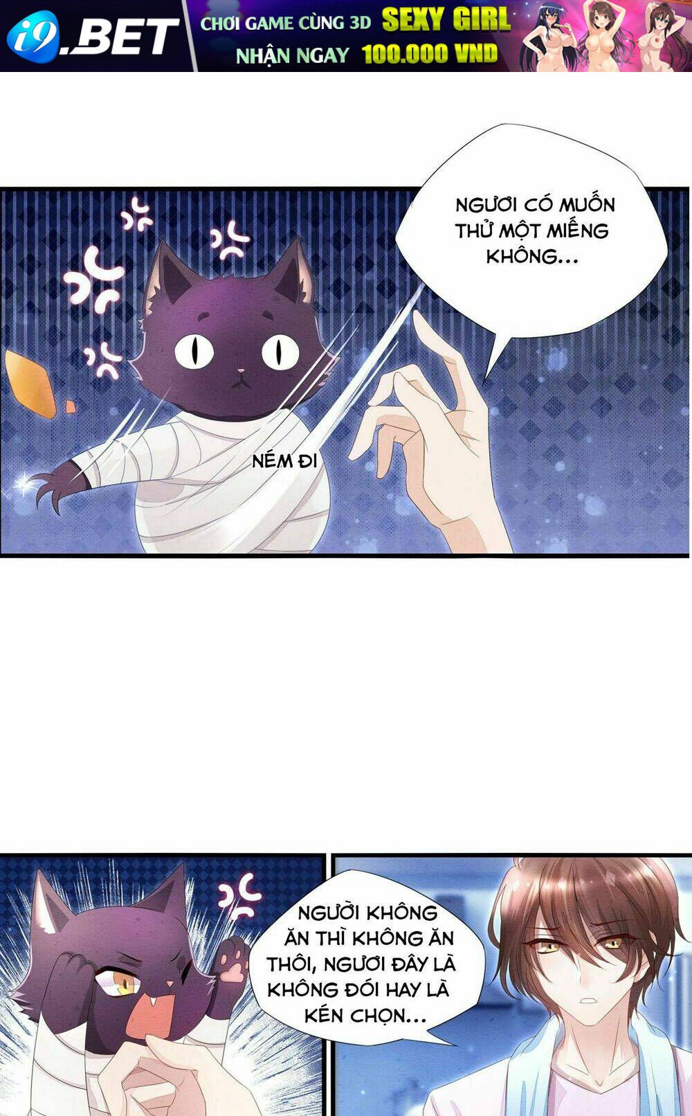 làm mèo của ta chapter 2 6