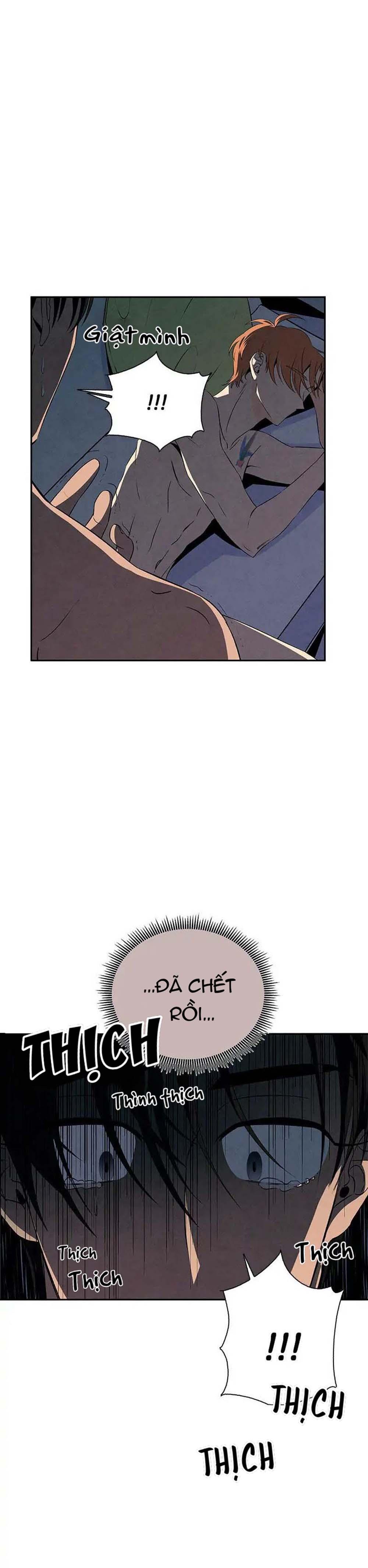 bona sort chapter 11 21