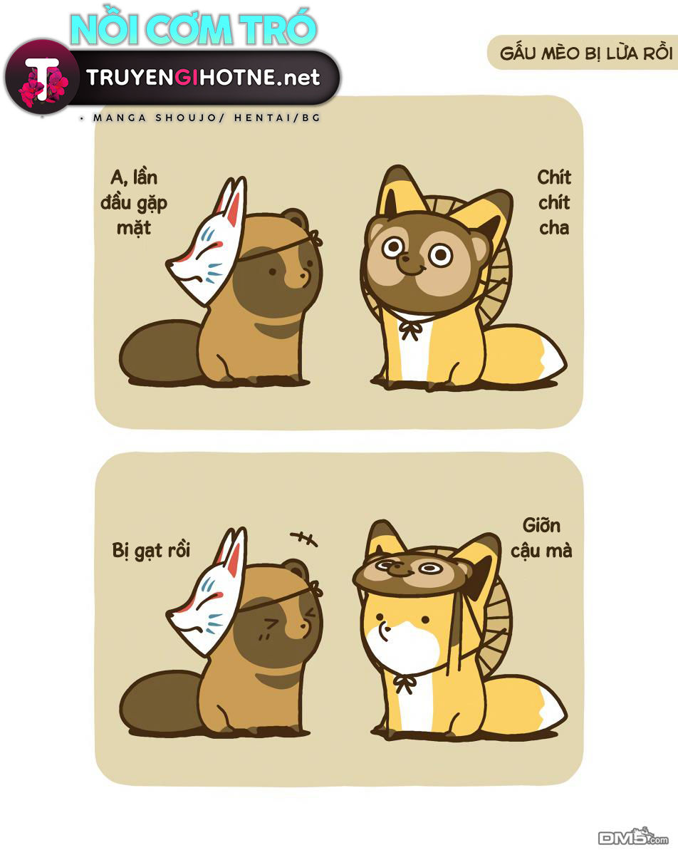 cáo và gấu mèo chapter 11 17