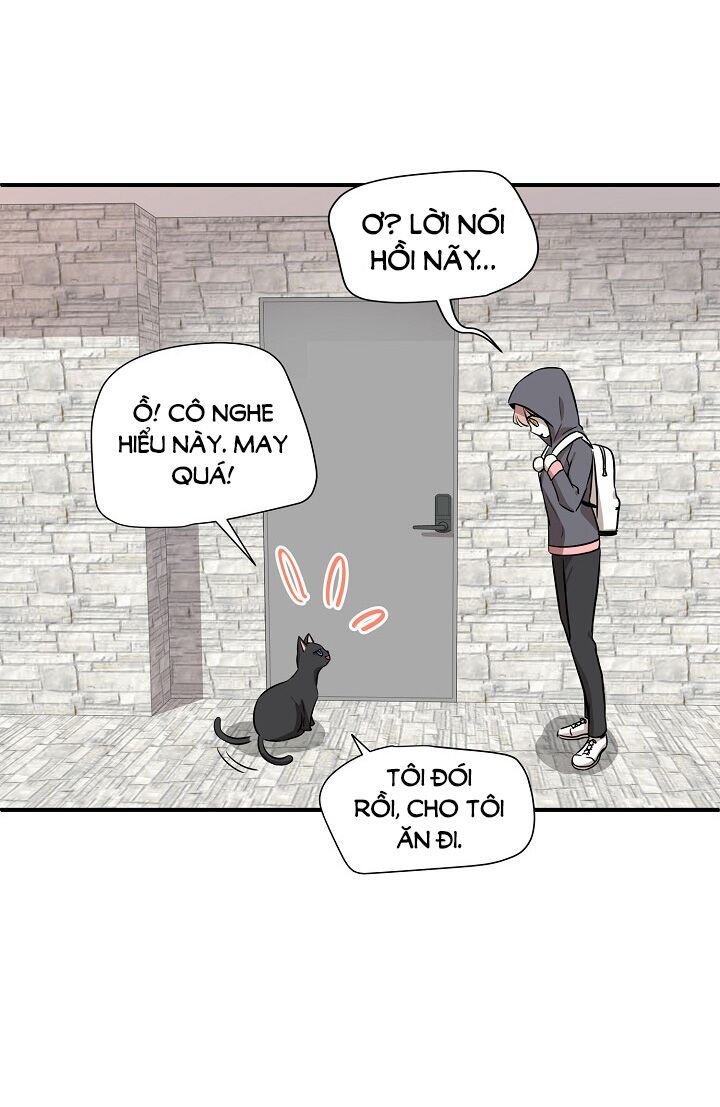 cuộc sống kỳ thú chapter 52 27