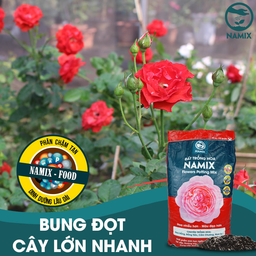 Đất trồng hoa Namix (Flowers Potting Mix)