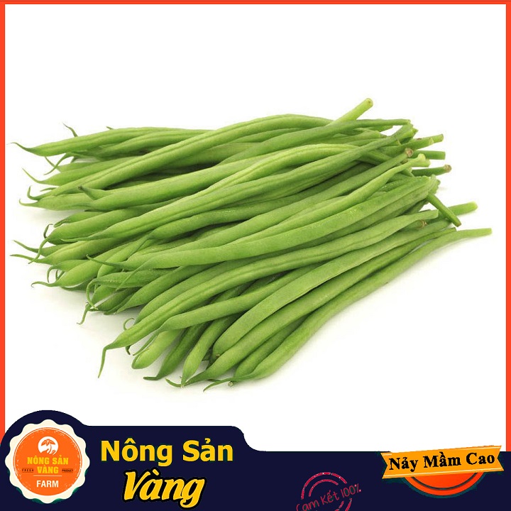Hạt giống Đậu Cove Bụi Lùn - Nông Sản Vàng