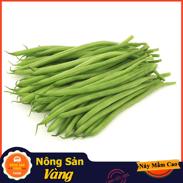 Hạt giống Đậu Cove Bụi Lùn ( Gói 10 Gram ) - Nông Sản Vàng