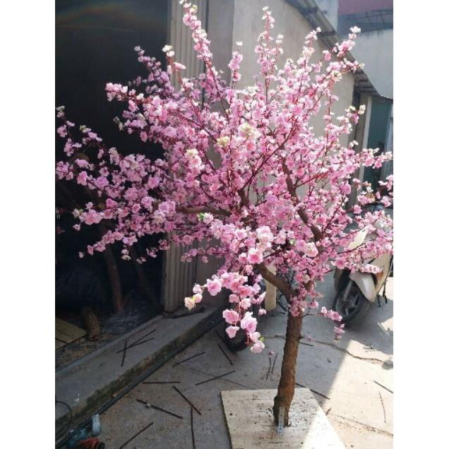 Hình ảnh 1 cành hoa mai, đào giả 5 nhánh cao 1m - Trang trí tết