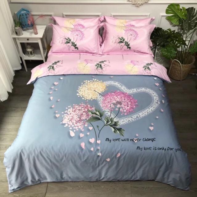Bộ cotton organic mẫu mới