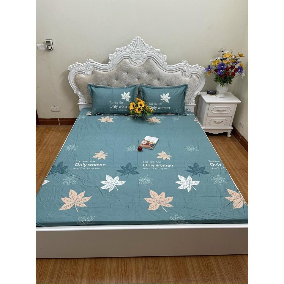 Bộ ga chun trơn và 2 vỏ gối 100% cotton hàn các kích thước
