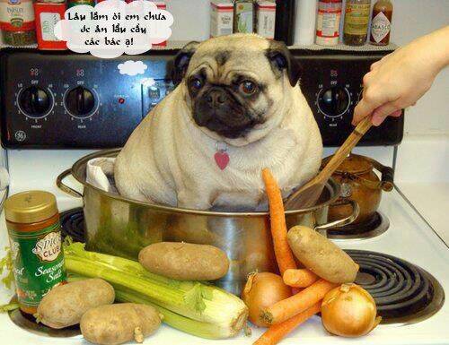 just troll chapter 21 15