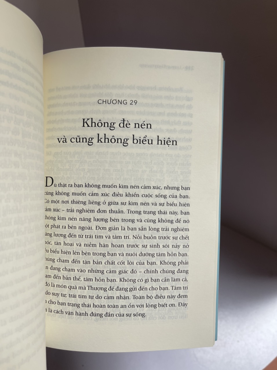 SỐNG ĐỜI TỰ DO - Michael A. Singer – Bủi Thị Ngọc Hương dịch – First News -NXB Dân Trí
