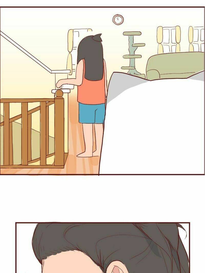 saphie: chú mèo một mắt chapter 6 12