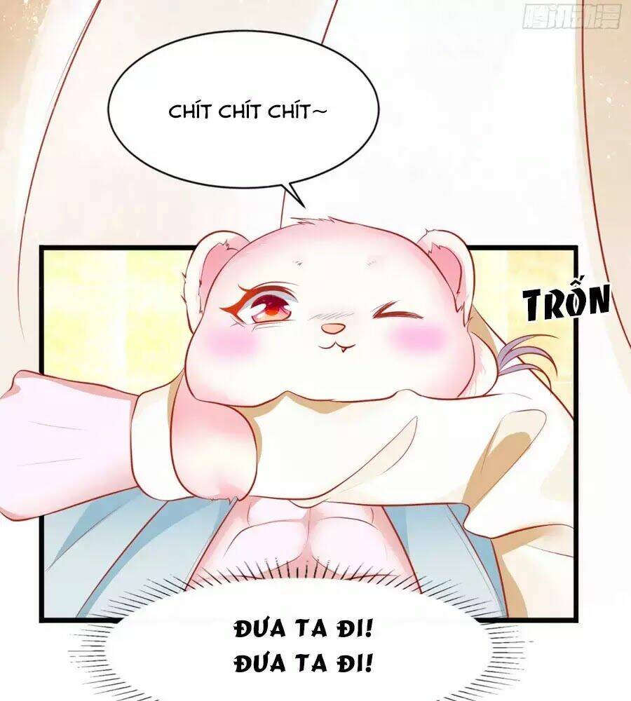 dưỡng thú vi phi chapter 4 28