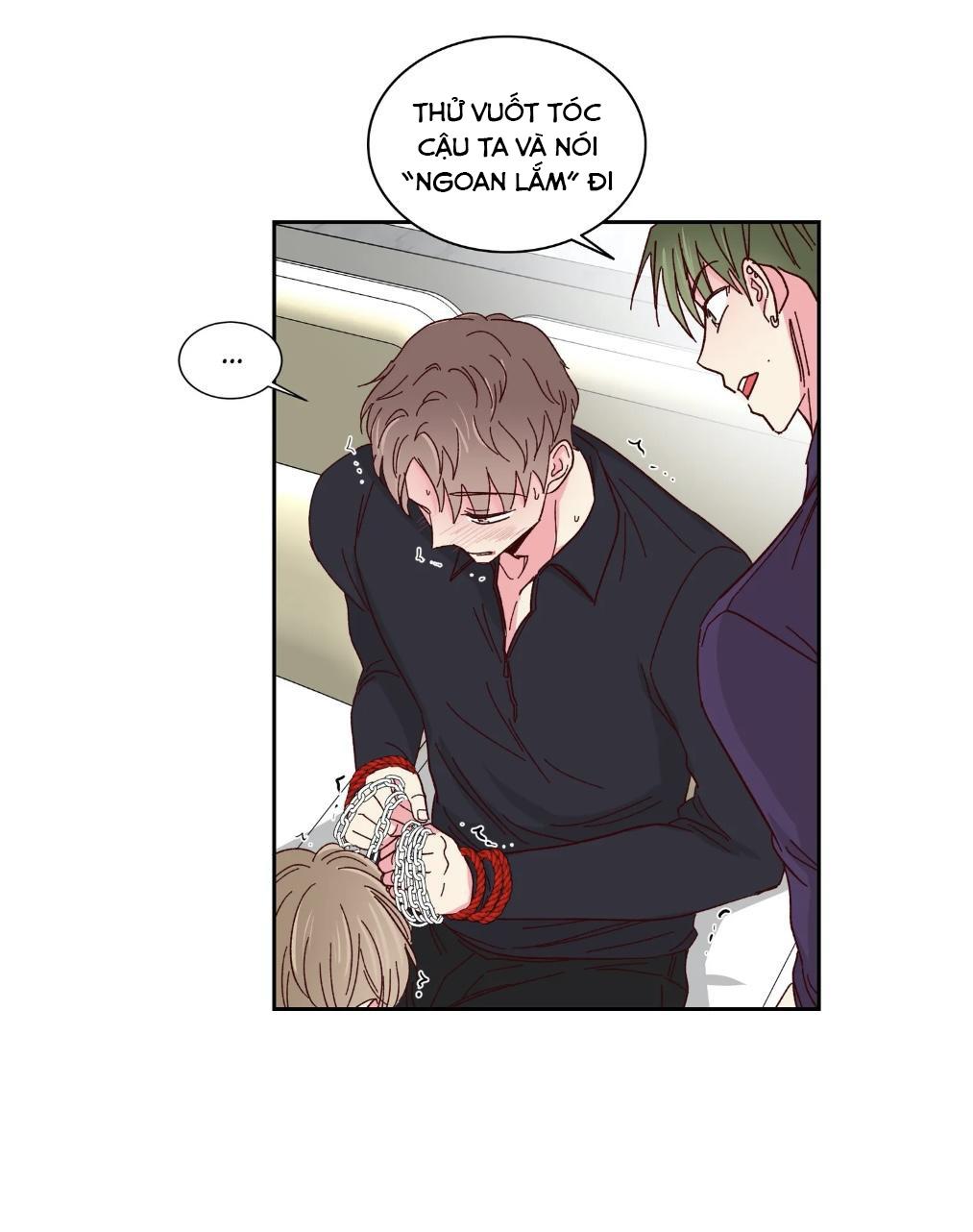 món tráng miệng của sếp tổng chapter 57 31