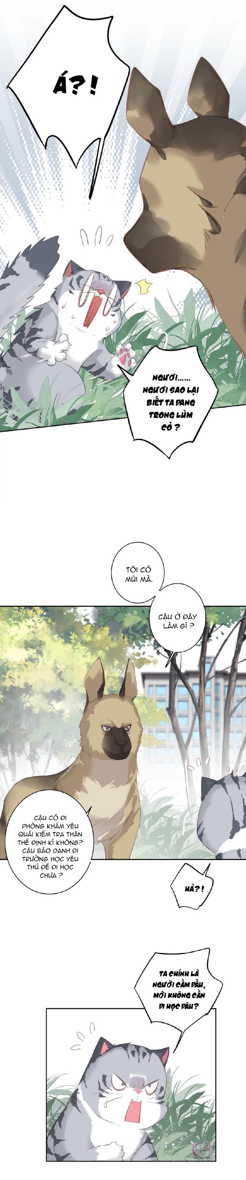 cuộc mai mối vượt giống loài chapter 47 1