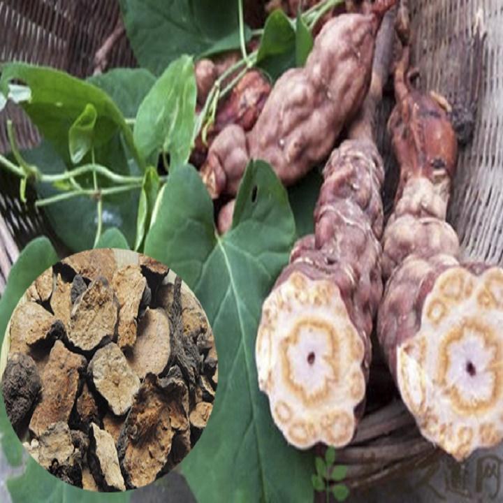 1 BỊCH HÀ THỦ Ô KHÔ