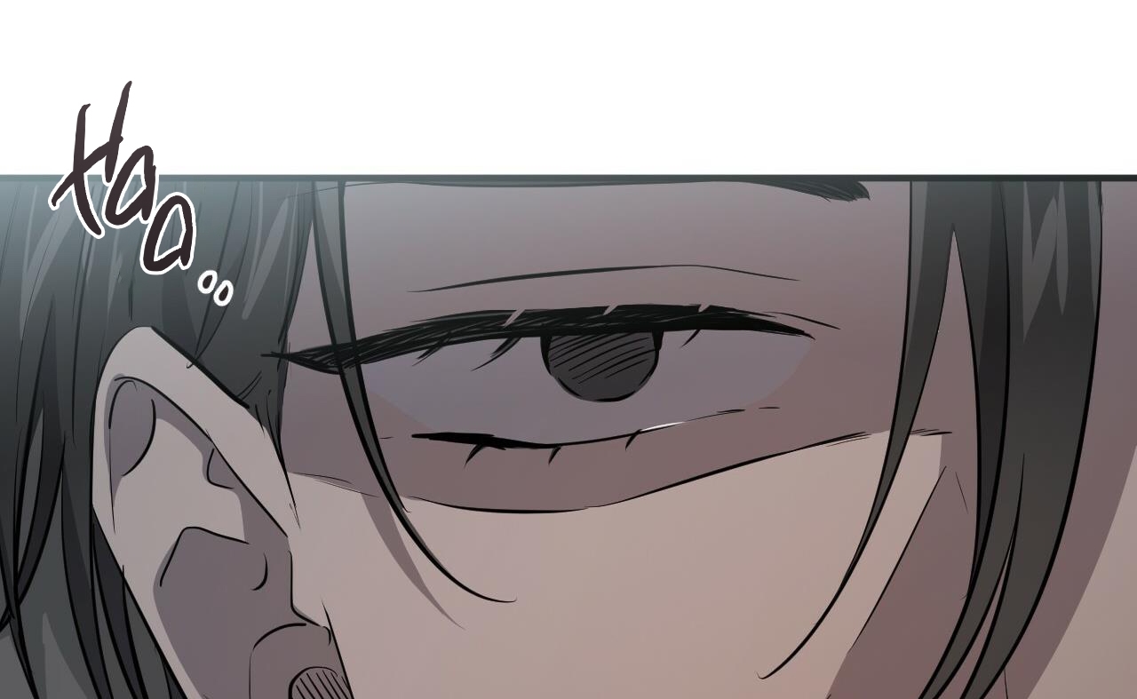 những chú thỏ của hapypy chapter 52 82