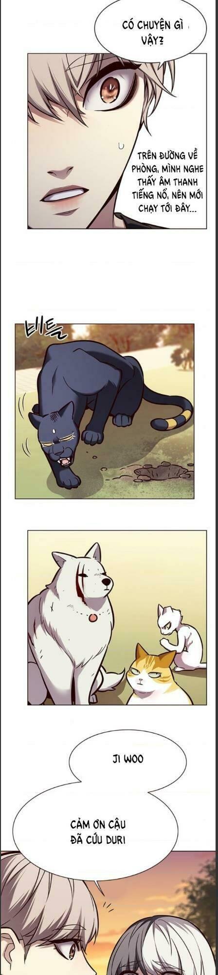 biến thân thành mèo chapter 162 9