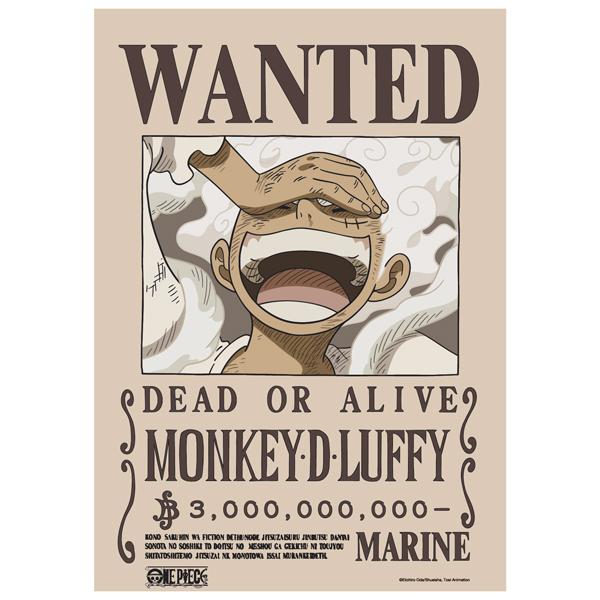 Poster One Piece V2 - Lệnh Truy Nã Luffy - TeenBox