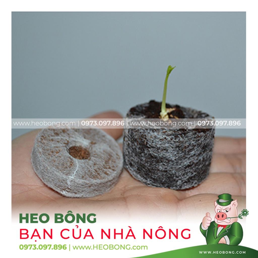 VIÊN NÉN XƠ DỪA - Ươm hạt tiện lợi