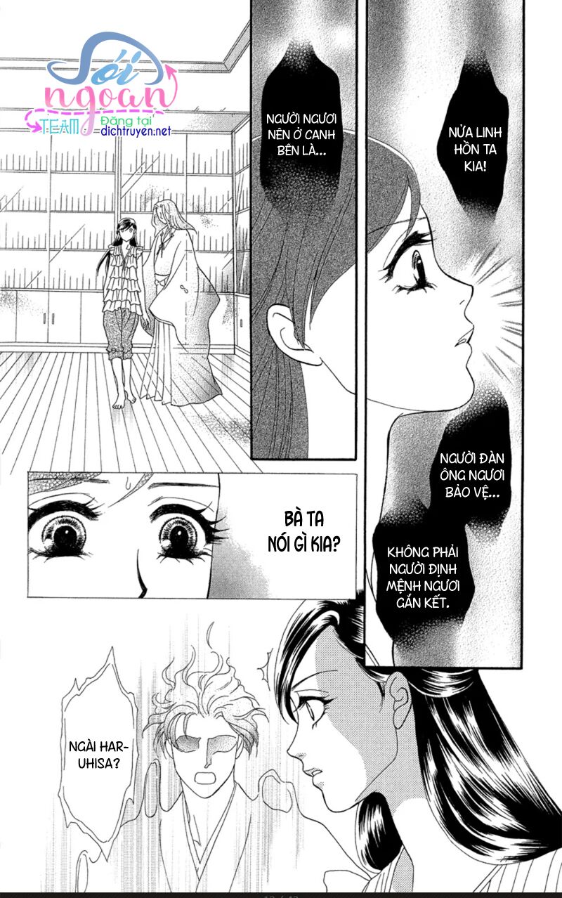 đóa hồng dành tặng seri chapter 18 10