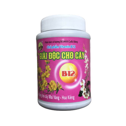 Vitamin B12 giải độc cho cây hủ 100ml