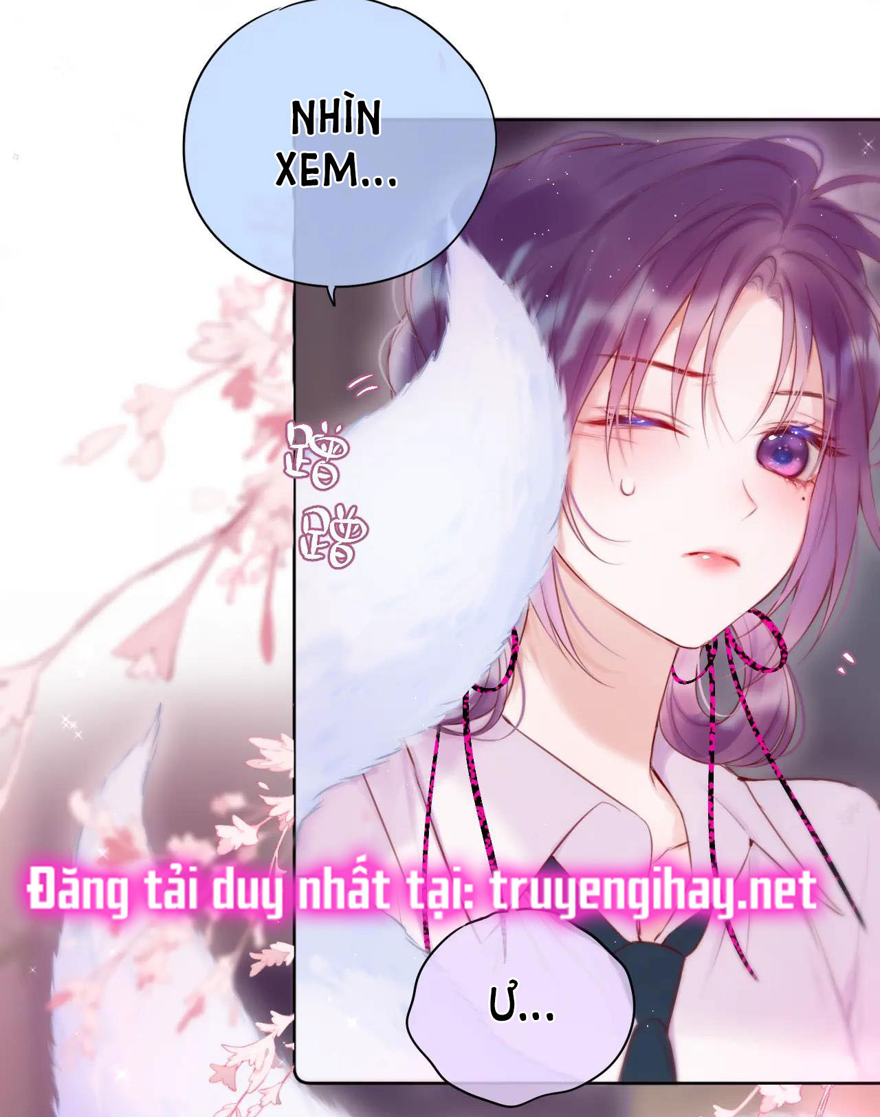 cạm bẫy của hồ ly chapter 22.2 2