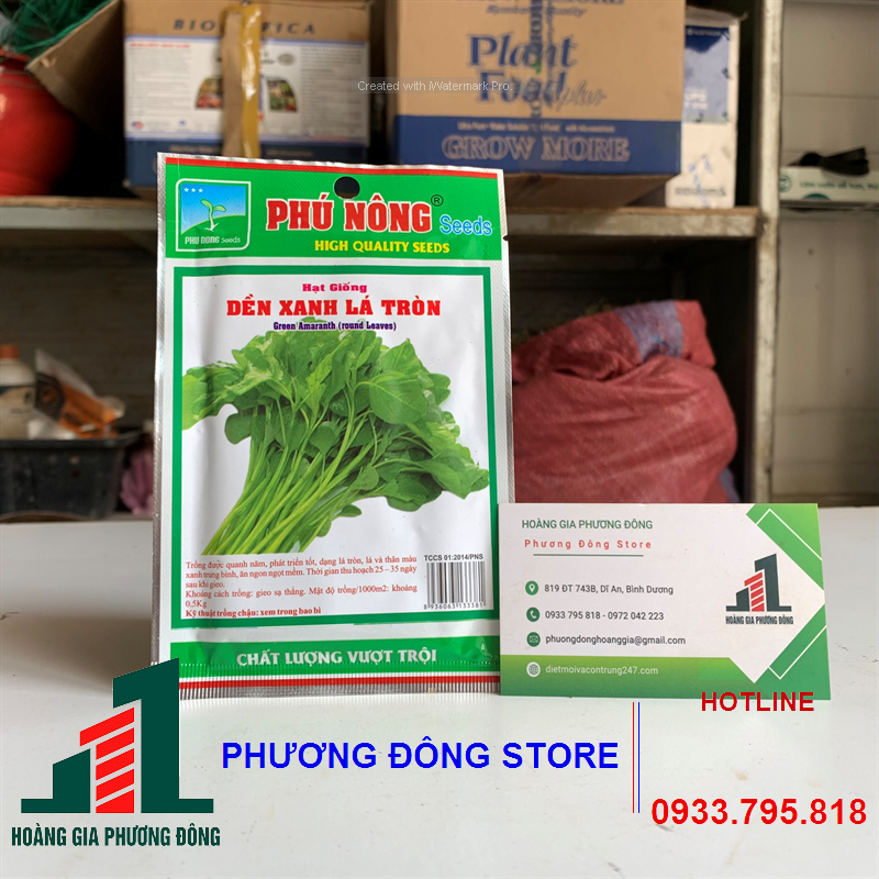 Combo 5-10 gói hạt giống rau dền xanh chất lượng , dễ trồng , năng suất cao