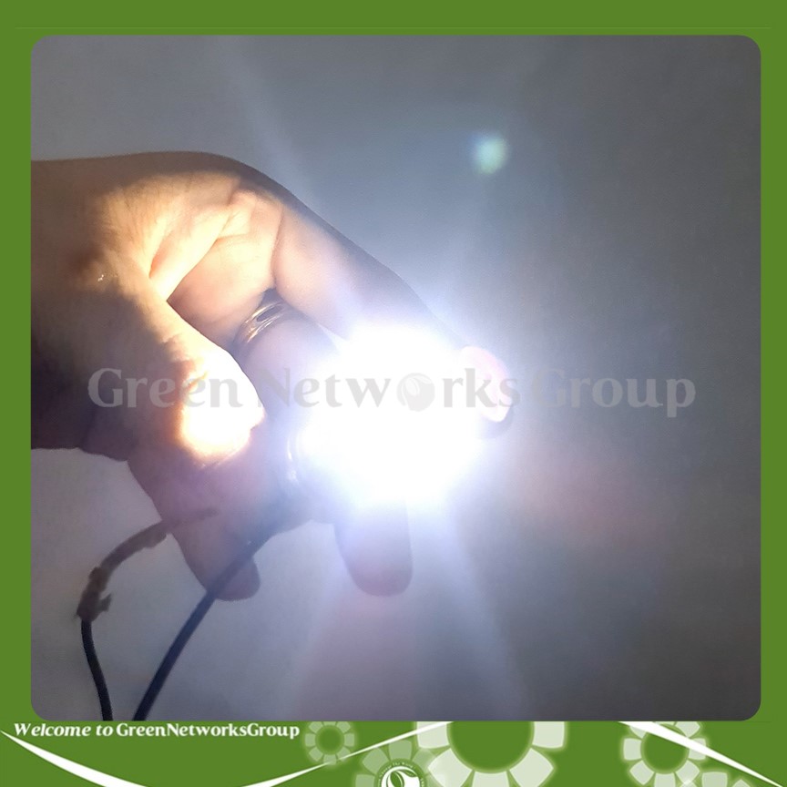 Đèn pha led 2 tim chân H4 chân M5 có bi cầu trên đầu Green Networks Group ( 1 cái