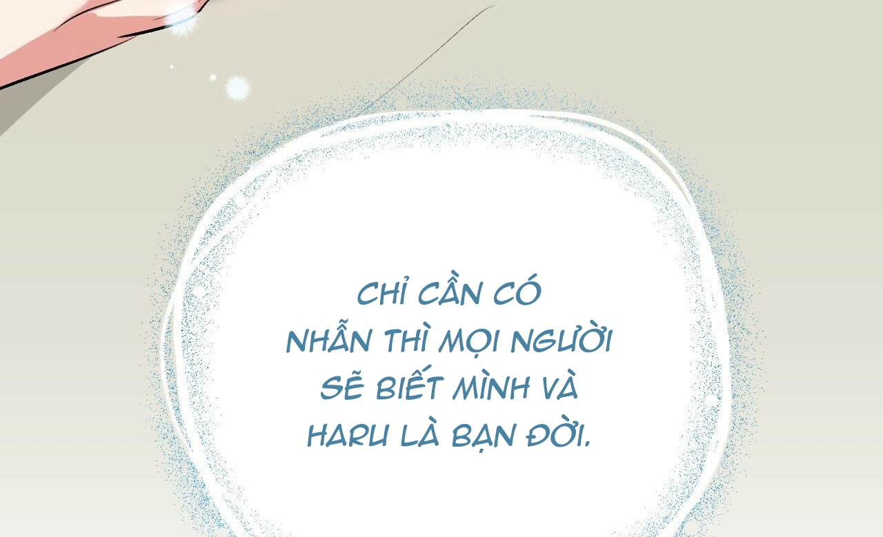 đàn thỏ của habibi chapter 41 222