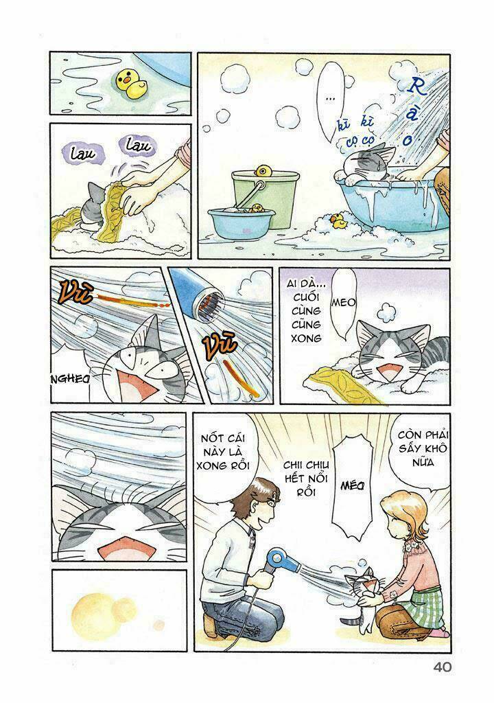 chi's sweet home chapter 115 6