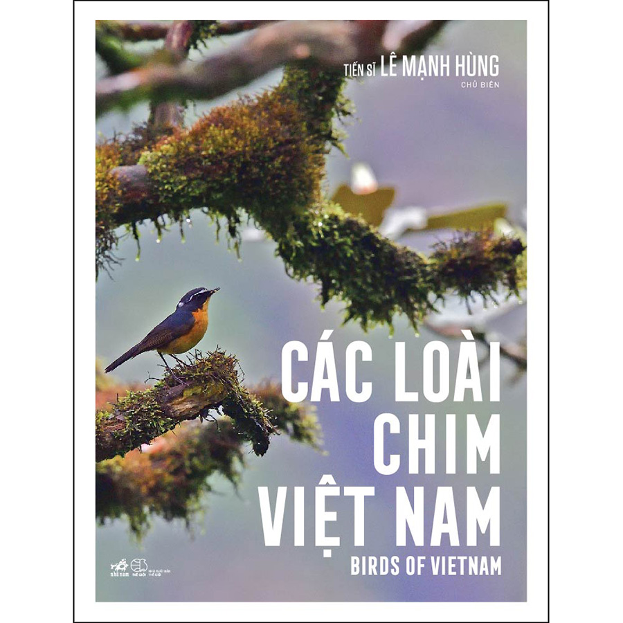 Hình ảnh Các Loài Chim Việt Nam (Birds Of Vietnam)