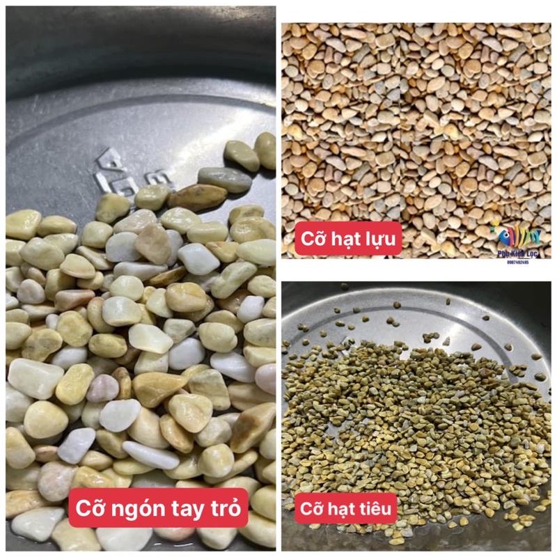 Sỏi Vàng Vò Trang Trí Bể Cá Trang Trí Sân Vườn