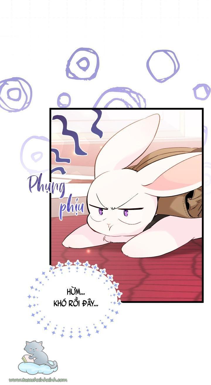 quan hệ cộng sinh giữa báo đen và thỏ trắng chapter 59 27
