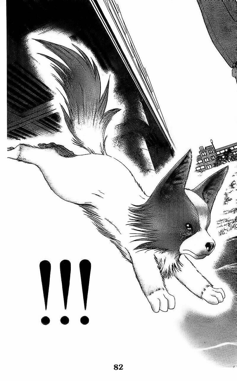 bàn tay thần sầu teru chapter 105 9