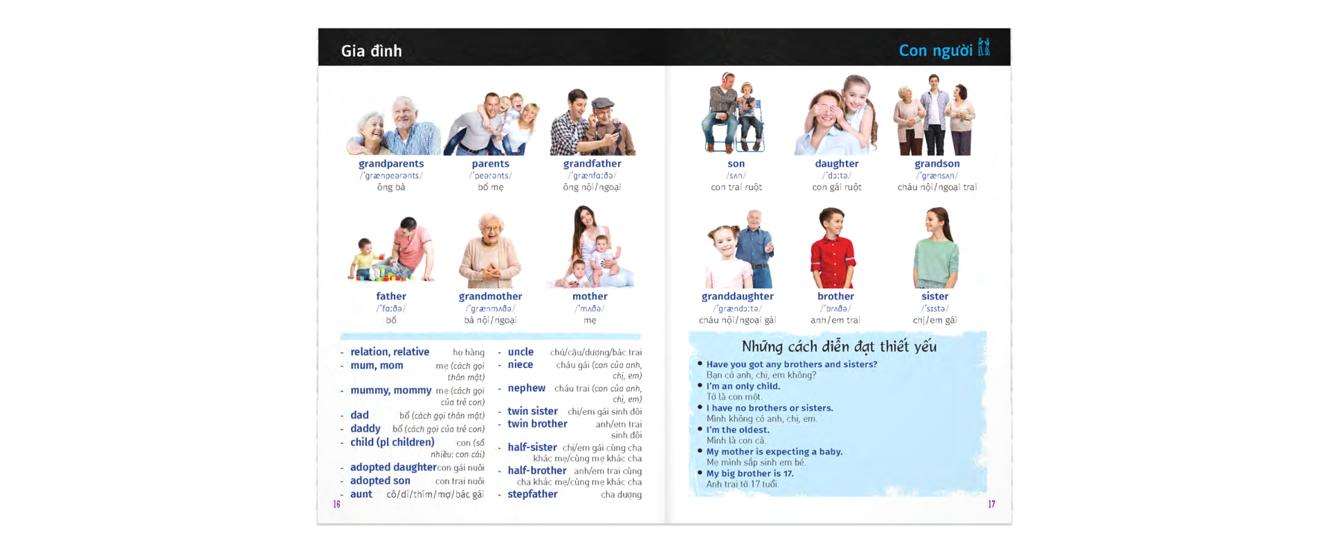 Từ Điển Trực Quan Bỏ Túi Anh-Việt - ảnh 4