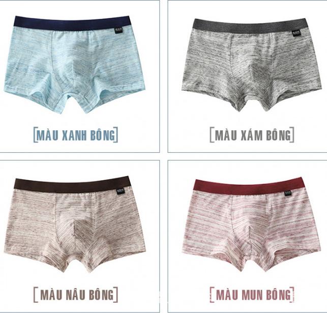 Hộp 4 quần lót nam boxer cotton cao cấp