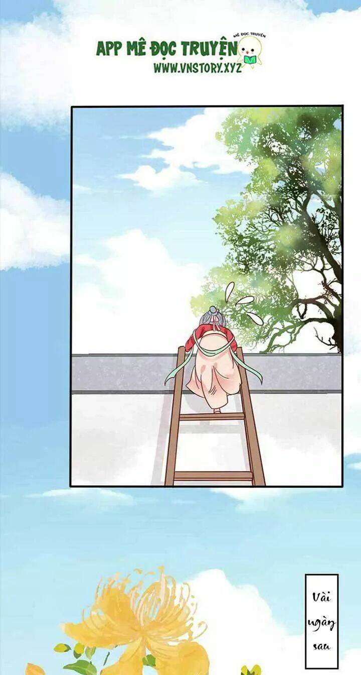 kiều nữ độc phi chapter 36 5