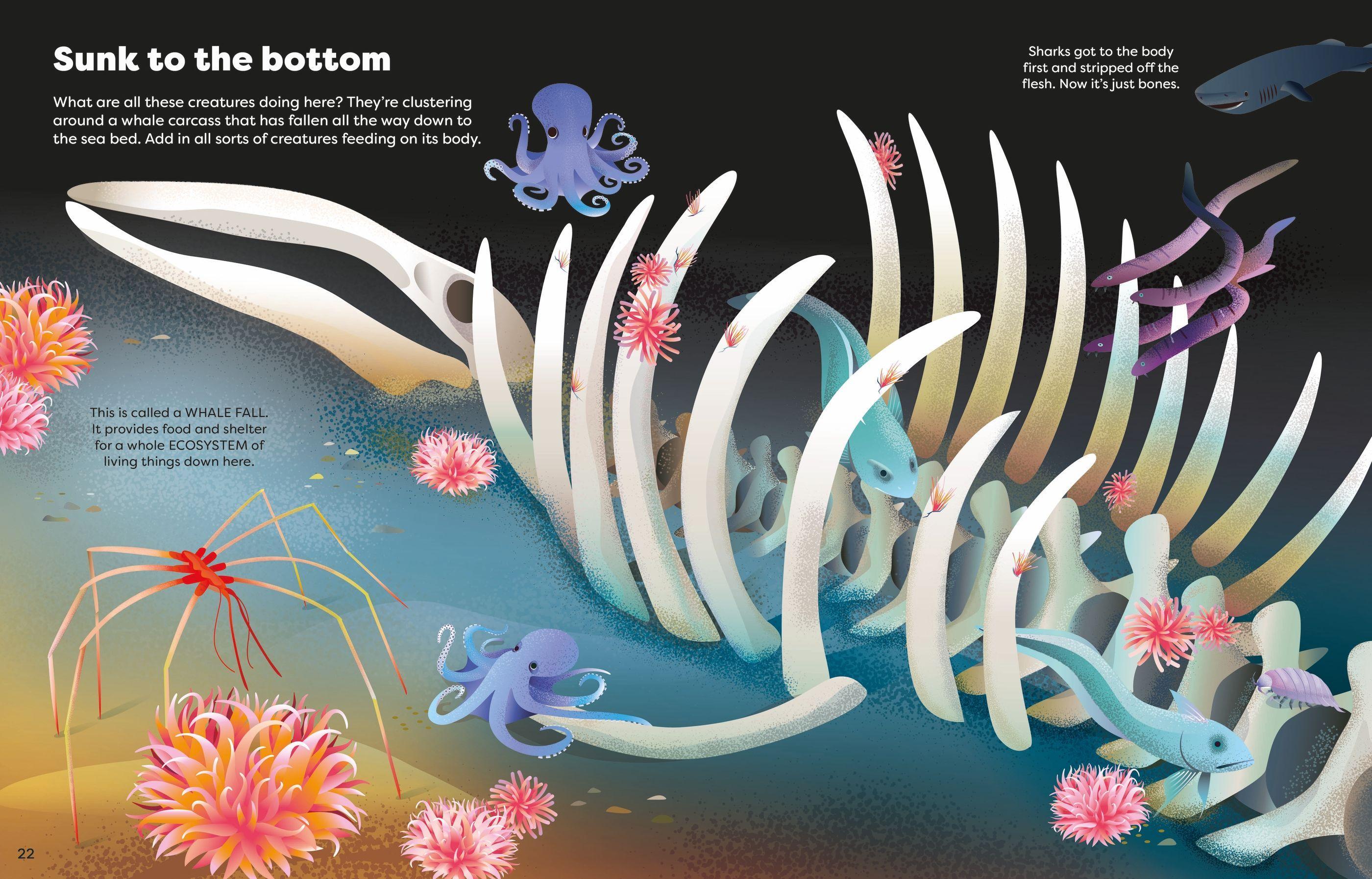 Sách ngoại văn: Big Sticker Book Weird Deep Sea Creatures