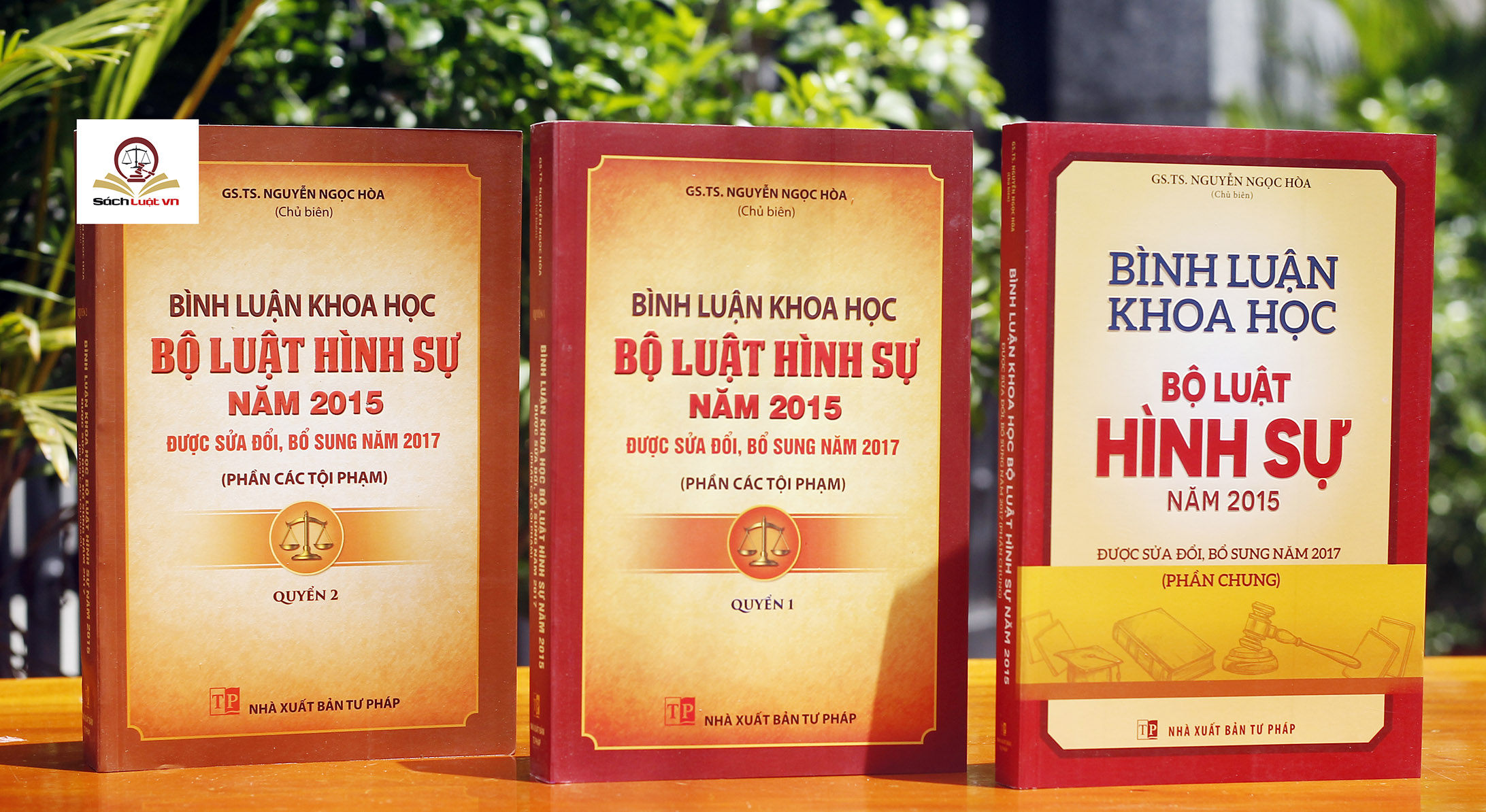 Combo 3 Cuốn: Bình Luận Khoa Học Bộ Luật Hình Sự 2015 Được Sửa Đổi, Bổ Sung Năm 2017 (Phần Chung) + (Phần Các Tội Phạm) - Quyển 1 + (Phần Các Tội Phạm) - Quyển 2